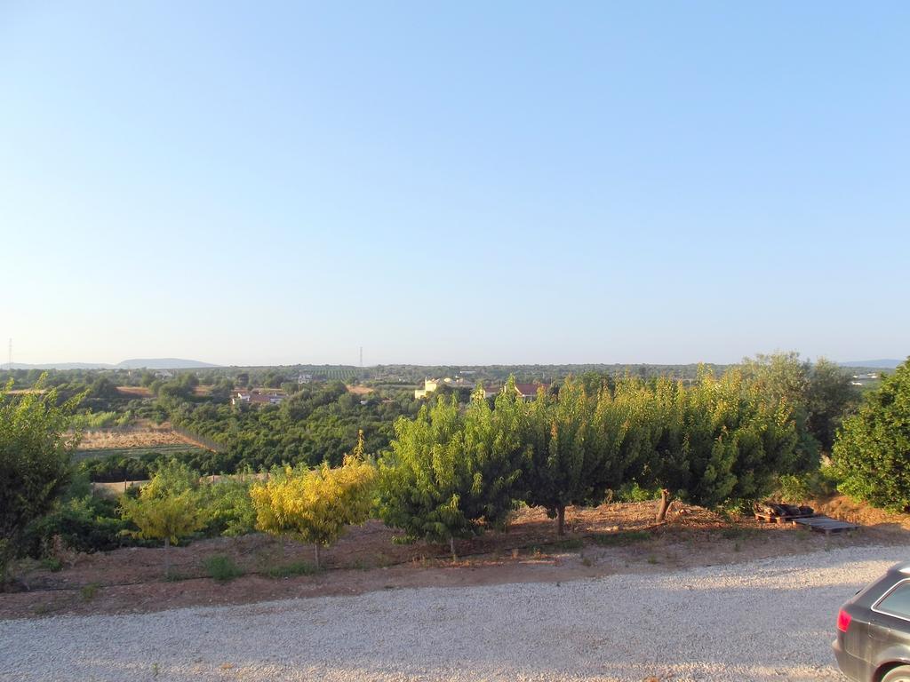 Da Mesa Algoz