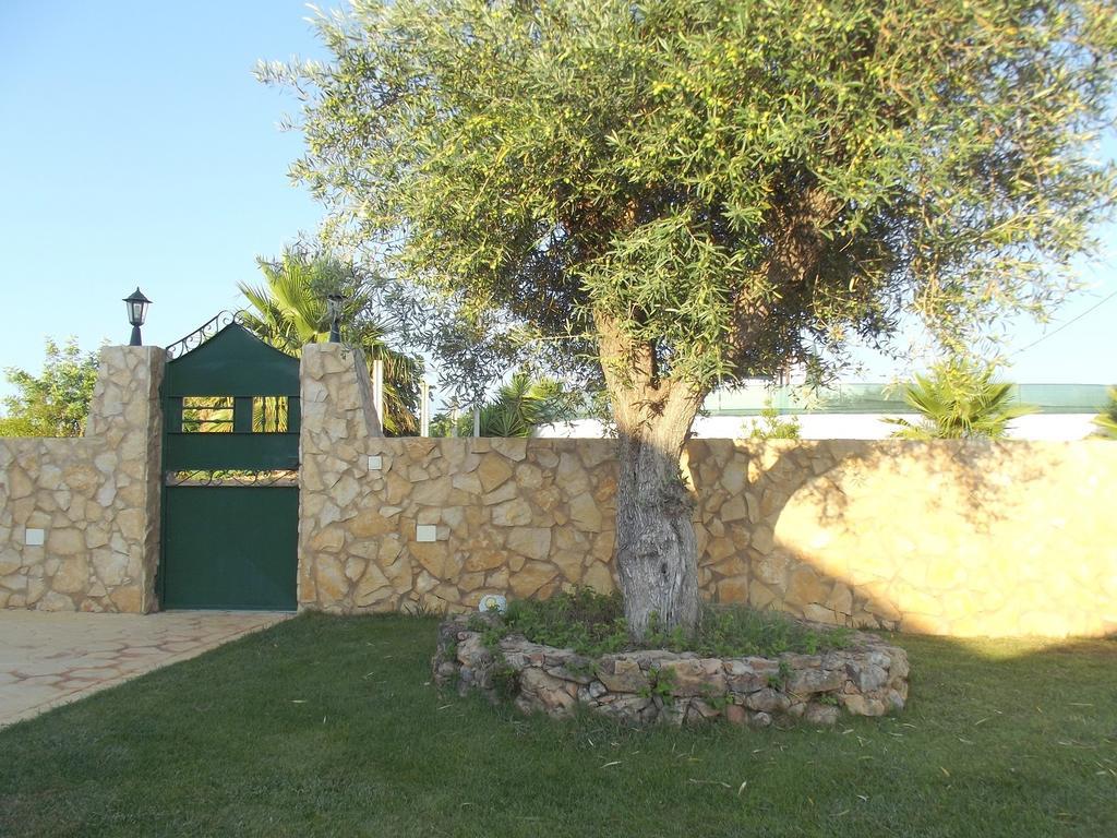 Da Mesa Algoz